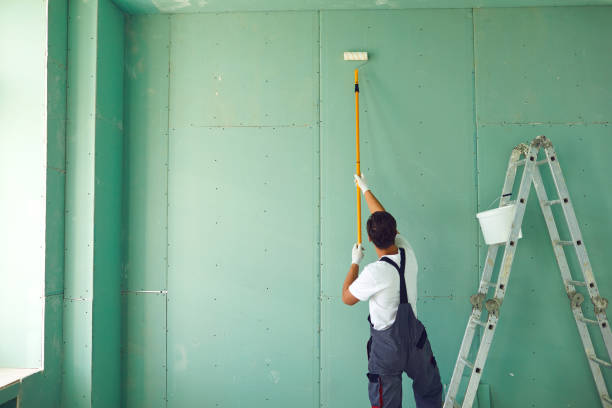 Best Mold Removal for HVAC Installations  in Lipatria, CA