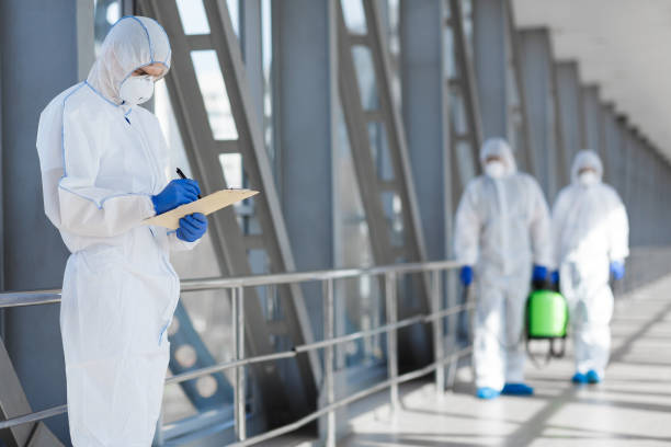 Trusted Calipatria, CA Mold Removal Experts