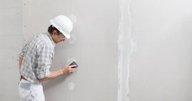 Best Industrial Mold Remediation  in Lipatria, CA