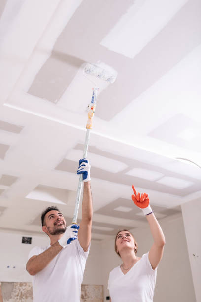 Best Environmental Consulting for Mold Prevention  in Lipatria, CA