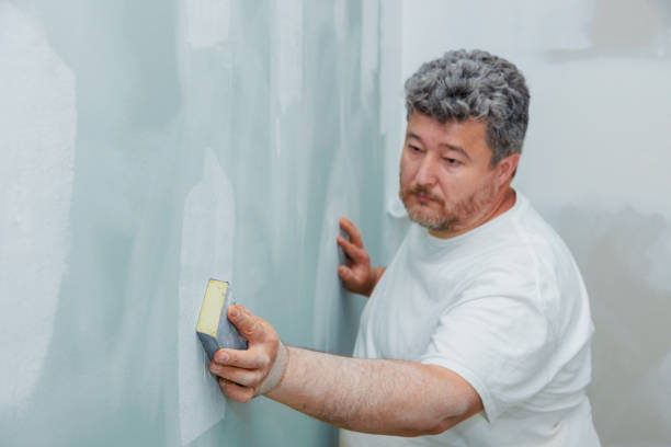 Best Water Damage & Mold Remediation  in Lipatria, CA